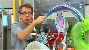 C'est pas sorcier - Méduses