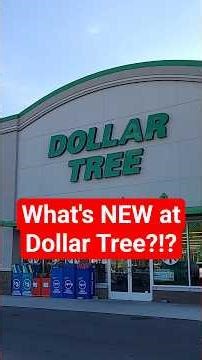 NEW Dollar Tree Finds! #dollartree #dollartreefinds