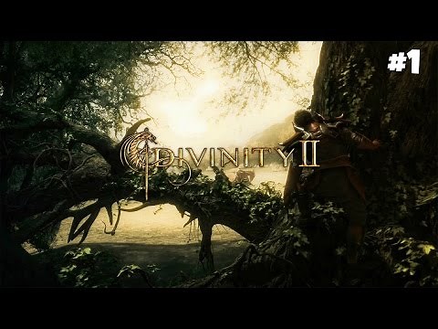 Divinity II: Developer's Cut - Walkthrough #1: Ranger Hunter