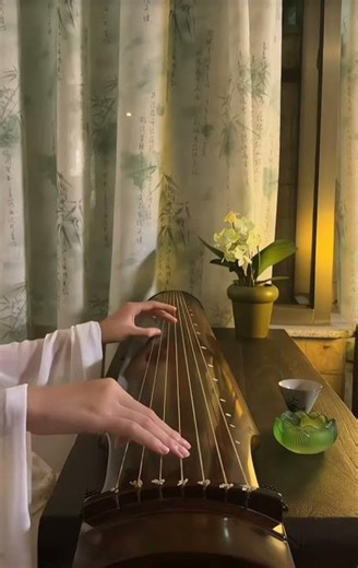cổ cầm# guqin#vover#chinese music#nhachaymoingay#traditional Chinese musical instruments