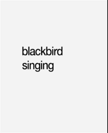Blackbird - the Beatles #fyp #forupage #lyrics_songs #lyricvideos #thebeatles