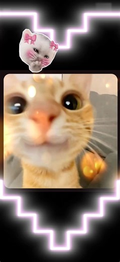 5,4,3,2,1,Trend!! #trend#cute#song#school#friendship