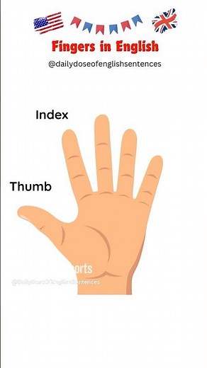 Hand Finger Names in English ✋ | Learn Hand Vocabulary Easily! #learnenglish #english