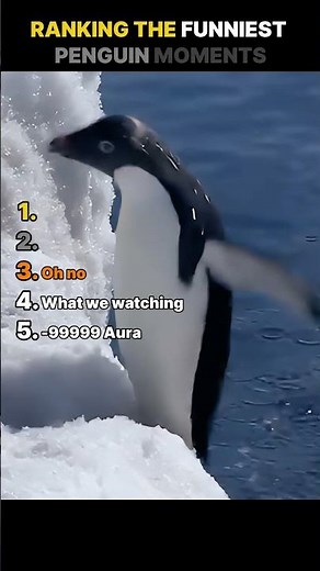 Ranking The Funniest Penguin Moments 🐧