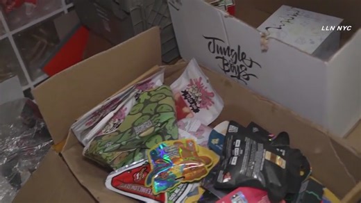 NYC raid seizes over $1M in marijuana, magic mushrooms from Bronx bodega