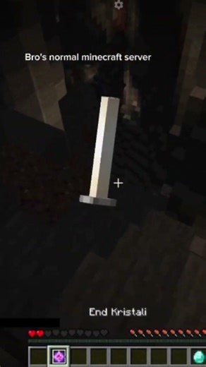 Bro's normal minecraft server #minecraft #minecraftshorts #shortvideo #shorts #short #best #bestgame