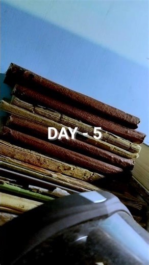 Zero budget filmmaking journey Day 5 | #script