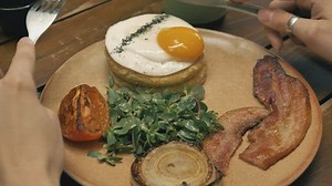 Free Close Up Videos: 4K & HD | No Watermark | Download Now