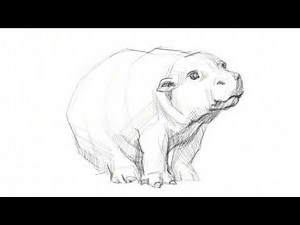 How to Draw a Cute Hippo 🦛 | Easy Step-by-Step Drawing Tutorial for Beginners