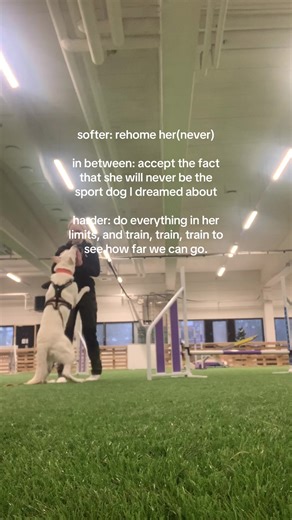 Training a White Swiss Shepherd: Finding the Right Path