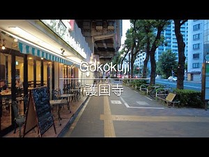 [4K] Gokokuji 護国寺 [Tokyo 東京] [Walk 散歩] #693