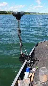 Fishing for Piau is awesome! #fishing