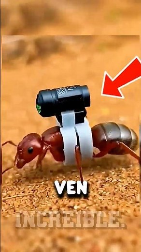 Así ven los animales el mundo 🐍🦅 (No lo vas a creer)
