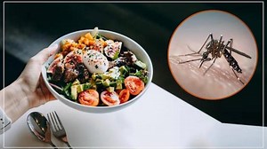 Dengue Fever Diet: ডেঙ্গিতে প্রাণ বাঁচাবে এই ডায়েট, সুস্থ হবেন দ্রুত