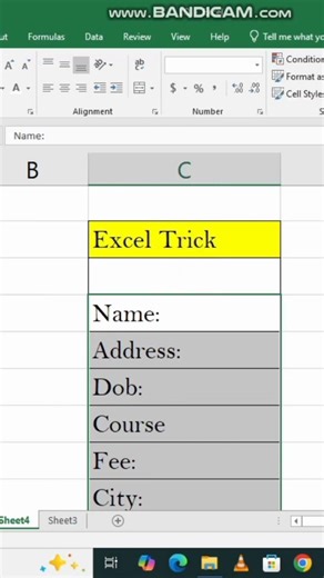 Excel Trick - MS Excel me Form Name, Address, DOB, Course, Fee, City sab kuch professional style me