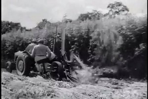 SEE the PROPAGANDA FILM that the AMERICAN GOVERNMENT CREATED and then LATER DENIED THEY EVER MADE!!!!! HEMP FOR VICTORY was made to encourage farmers to grow hemp for the war effort because other industrial fibers, often imported from overseas, were in short supply. The film shows a history of hemp and hemp products, how hemp is grown, and how hemp is processed into rope, cloth, cordage, and other products. Before 1989, the film was relatively unknown. The United States government denied ever ha