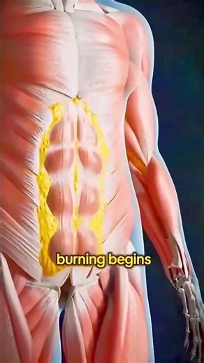 Fasting: What Happens to Your Body? | Roza | Ramzan | Ramdan 2026 #WeightLoss #BodyReset #Autophagy