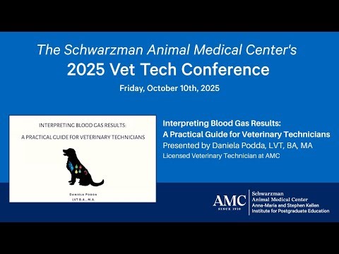 Interpreting Blood Gas Results: A Practical Guide for Veterinary Technicians