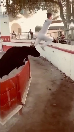 Why bulls are so aggressive 🤯