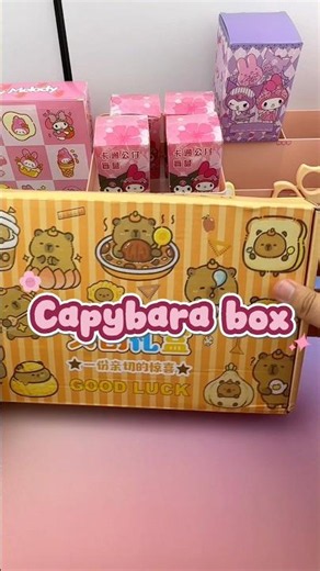 Is the $1000 Capybara Box Worth It? (DIY Unboxing) ￼⁠