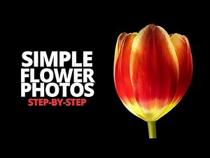 Flower Photography Tutorial - Step by step for simple flower shots
