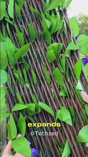 DIY Bamboo Privacy Screen for Backyard & Patio | #ytshort