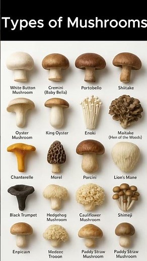 Different Types of Mushrooms Around the World! 🍄 | These Mushrooms Will Surprise You 😳