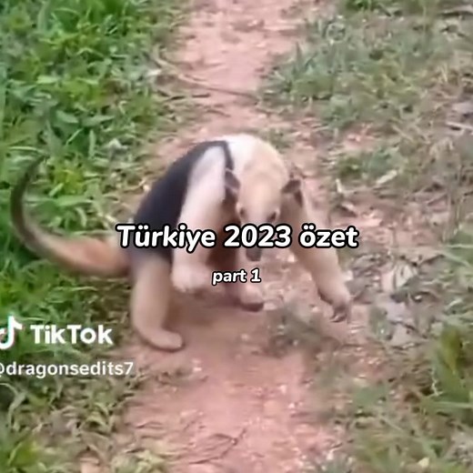 part2??? #keşfettttt #fypppp #keşfetbeniöneçıkar #2023özet #2023 #keifetteyiz #keşfetolmabüyüsü✨🔮 #keifetol #keşfetolmaduasıenter📿🧕 #senabenn_12 #sena #zehebeslayyyhocam #zehebe