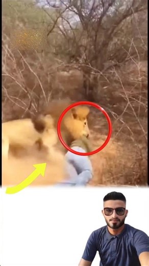 أهمية الحذر عند التعامل مع الحيوانات البرية #حياة_برية​#سفاري​#توعية​#نصائح_سلامة