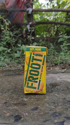 Survival Skills: SMART ideas and Useful in forest #survival #useful #ideas #smart #shorts #camping