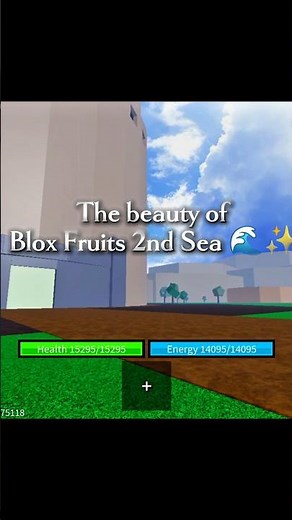 THE beauty of blox fruits 2nd sea 💫🌊#bloxfurit #roblox #nobatidao