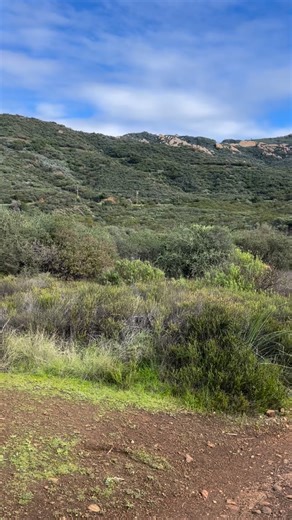 TreePeople Land Trust on Instagram: "Happy New Year! We’re starting 2026 with an update on trail conditions in the Cold Creek Preserve after the recent winter storms 🌧️ Our trails received over 12 inches of rain and are mostly in good shape ✅ For trail information, maps and more, visit www.treepeoplelandtrust.org #treepeoplelandtrust #tplt #mountainsrestorationtrust #mrt #treepeople #calabasas #santamonicamountains #coldcreek #hiking #losangeles #getoutside #trails #yuccatrail #coldcreekhightra
