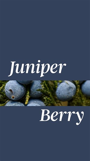 4 limited-edition colors, endless ways to refresh your home. Made to hang, swap, and love all year long. 🏠🎨 Shop now on Amazon 🛒 https://s.3m.com/4iwb73at | Command