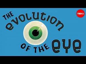 Introduction: Human Eye and its Evolution Video Lecture | Crash Course for UAE Grade 10