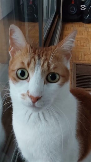 😮😮😮🤯🤯🤯