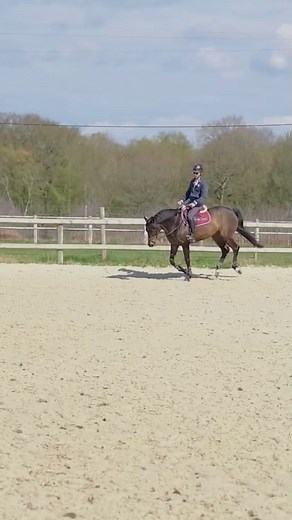 33K views · 291 reactions | 42 exercices de saut d'obstacles ⤵️ https://sio.terredesportequestre.com/cso #cheval #horse #TDSE #jumping | Terre de Sport Equestre | Facebook