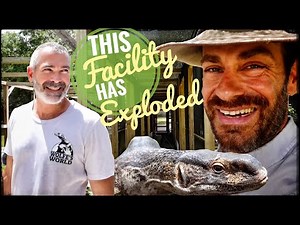 I can't believe how many lizards Jerry Wolfe has!