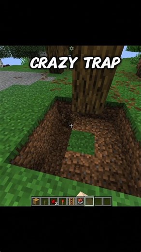Crazy Minecraft Trap 😱