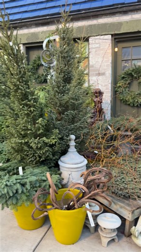 Don’t wait for the freeze! ❄️ Design your winter containers while the weather’s on your side. We’ve got everything you need to celebrate the beauty of the season. Open 9–6 this weekend! | Tangletown Gardens