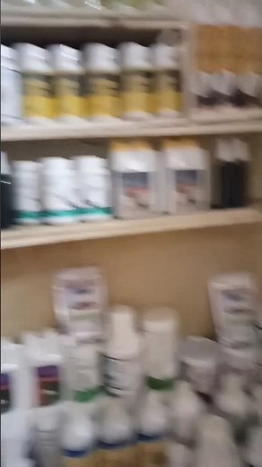 Speed Post parcel book ho rahe #kabootar_care #pigeon