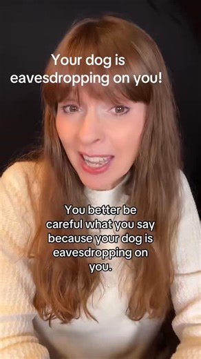 Victoria Stilwell on Instagram: "Latest research shows your dog has a skill comparable to a 1.5 year old child. Listen in. #victoriastilwellacademy #victoriastilwellpositively #dogtraining #vspdt #dogs #dog #victoriastilwell"