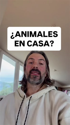 Animales en Casa: Significados y Mensajes Ocultos