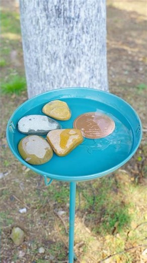 No vinegar? No problem. Water alone can do so much.What natural helper do you rely on?#mellbree #diy