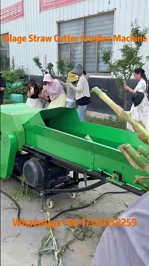 Powerful Silage Straw Chopper | High-Efficient Forage Cutter for Livestock Feed#silage #chaffcutter