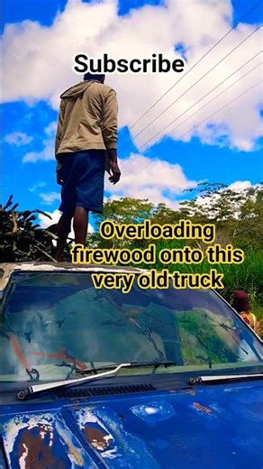 Over Loading Firewood onto a very old and small truck.