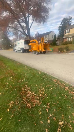 Harry Ledwith on Reels