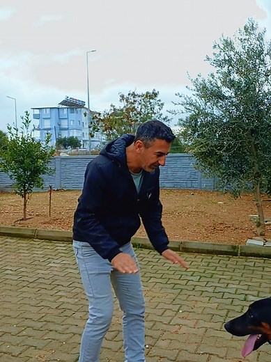 Doğru Köpek Seçimi: Doberman ve Toy Poodle