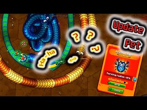 Update Pet Little Big Snake io Cool Gameplay