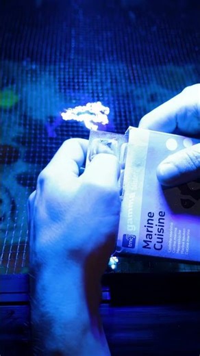 Gamma Marine Cuisine Tried and Tested