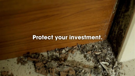 Protect your investment from silent destroyers. 🐜💼 Our termite control solutions keep your property safe from costly damage—before it even begins. Why homeowners trust our service: ✔ Long-term protection from termite infestation ✔ Prevents expensive structural repairs ✔ Safe and effective treatment options ✔ Expert technicians with proven experience Stay worry-free. Stay termite-free. Book your inspection today 👉 bit.ly/EnviQF #TermiteControl #ProtectYourHome #EnvironetPestControl | Environet